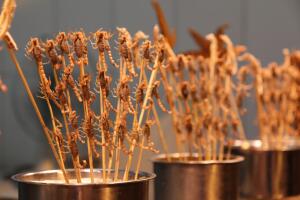 gente comiendo - comida - dieta