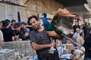 APTOPIX Iraq Daily Life