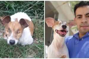 Hombre rescata a perrita sin ojos y conmueve a TikTok.