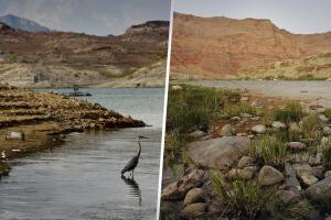 Sequía río Colorado