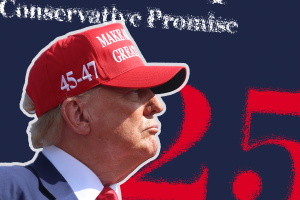 Donald Trump proyecto 2025.png