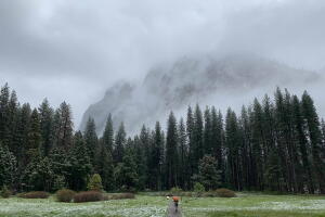 05.20_Yosemite_Park.jpg