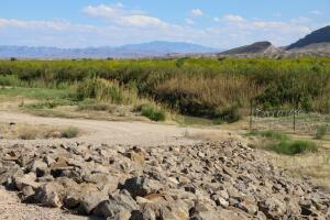 Big Bend Border Project