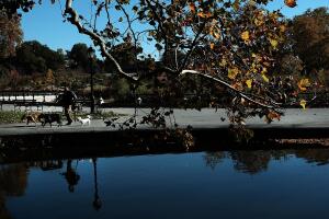 Los últimos rastros del otoño en NYC
