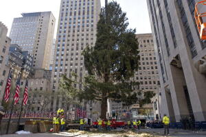Rockefeller Center Christmas Tree