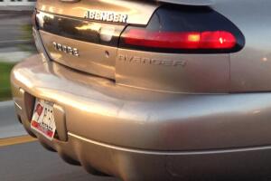 Cosas insólitas que solo se ven en Florida