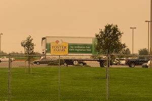 fosterfarms-brote.jpeg