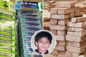 Con 11 años creó un ladrillo ecológico de goma de mascar: ahora es un inventor millonario