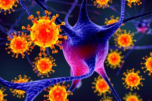 coronavirus_afecta_cerebro_2.jpg
