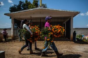 Día de muertos, ofrenda, México