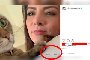 Silvia Navarro, marca de agua en fotos, 2019