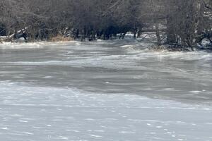 Frío en Chicago producto de un frente ártico causa congelamiento en el río Kankakee y en el Des Plaines, lo que preocupa por amenaza de inundaciones

