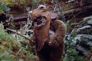 Ewok star wars.jpg