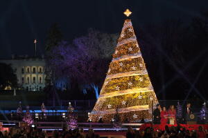 White House Árbol de navidad