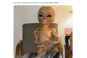 mafe-walker-meme.png