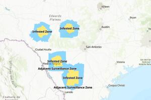 zonas infestadas de gusano barrenador texas condados plaga casos