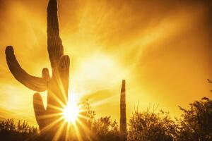 Arizona calor
