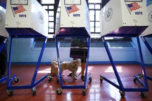 US-VOTE-NEW YORK-politics