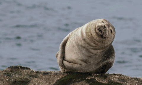 Mundo Gif