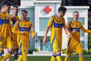 Tigres lesiones