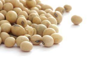 soya1.jpg