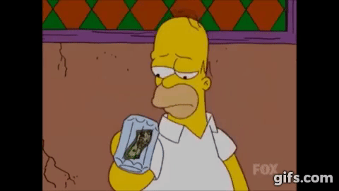 gif_1.gif
