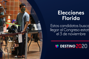 FL Congreso estatal.png