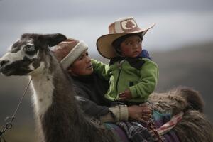 Ecuador Llama Races