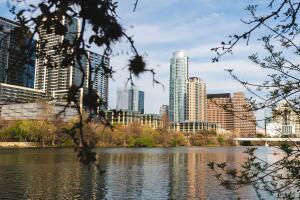 austin-5756722_1920.jpg