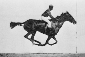 muybridge-caballo-galope