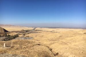 grapevine view.jpg