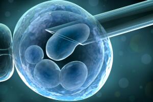 fertilizacao-in-vitro-capa.jpg