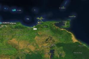 Forest, Faxon, Fortune1.jpg