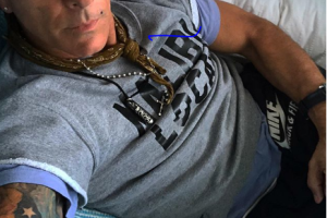 Fernando Carrillo 