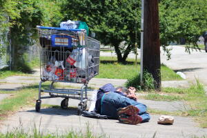 INDIGENTE-HOUSTON.jpg