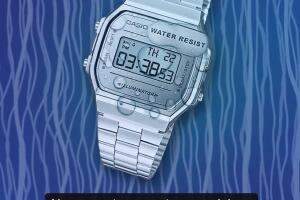 Casio reacciona a la nueva canción de Shakira.jpg