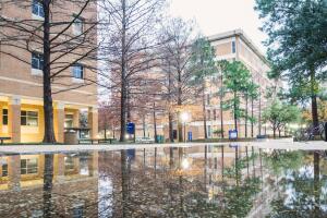 A View of the Skyline Austin