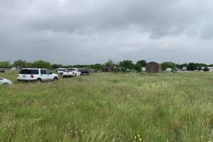 perros sujeto/perros 6.jpg