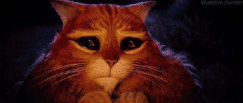 tumblr_lta61d2bgl1r4ghkoo1_500_0.gif