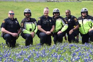 GrapeVinePoliceD.jpg
