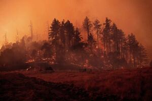 California Wildfires Blackout
