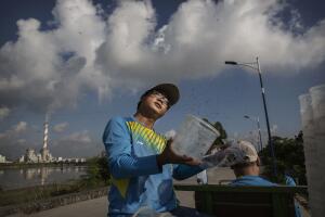 salud virus zika factoria china