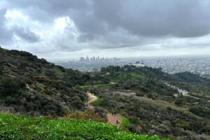 Muere un hombre cerca de un sendero del Griffith Park, en Los Ángeles