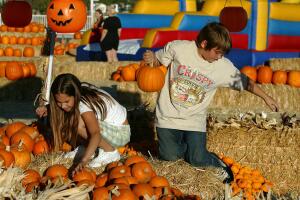 Pumpkin Patch