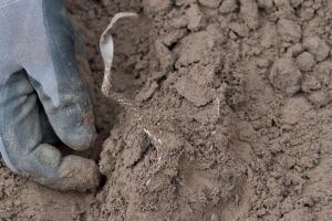 Arqueología Alemania