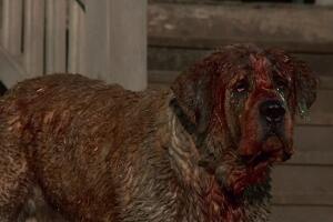 10-curiosidades-sobre-pet-sematary-3.jpg