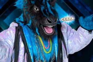 LM_CEBRA.jpg