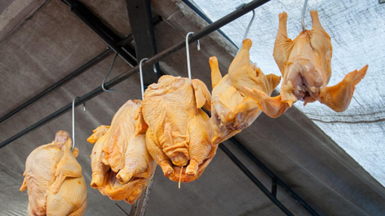San Antonio registra una escasez de pavos esta temporada - Univision