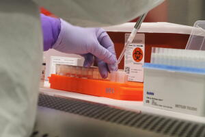 CORONAVIRUS EEUU ESTADOS AYUDA