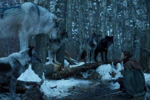 game-of-thrones-arya-stark-nymeria.jpg